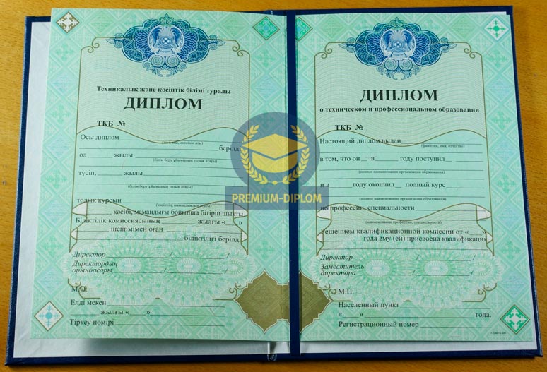 Техникум 2009-2025 (Казахстан) - фото